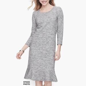 Talbots Terry Flounce Hem Shift Dress Sz Large Gray Cotton Blend NWT Casual Chic
